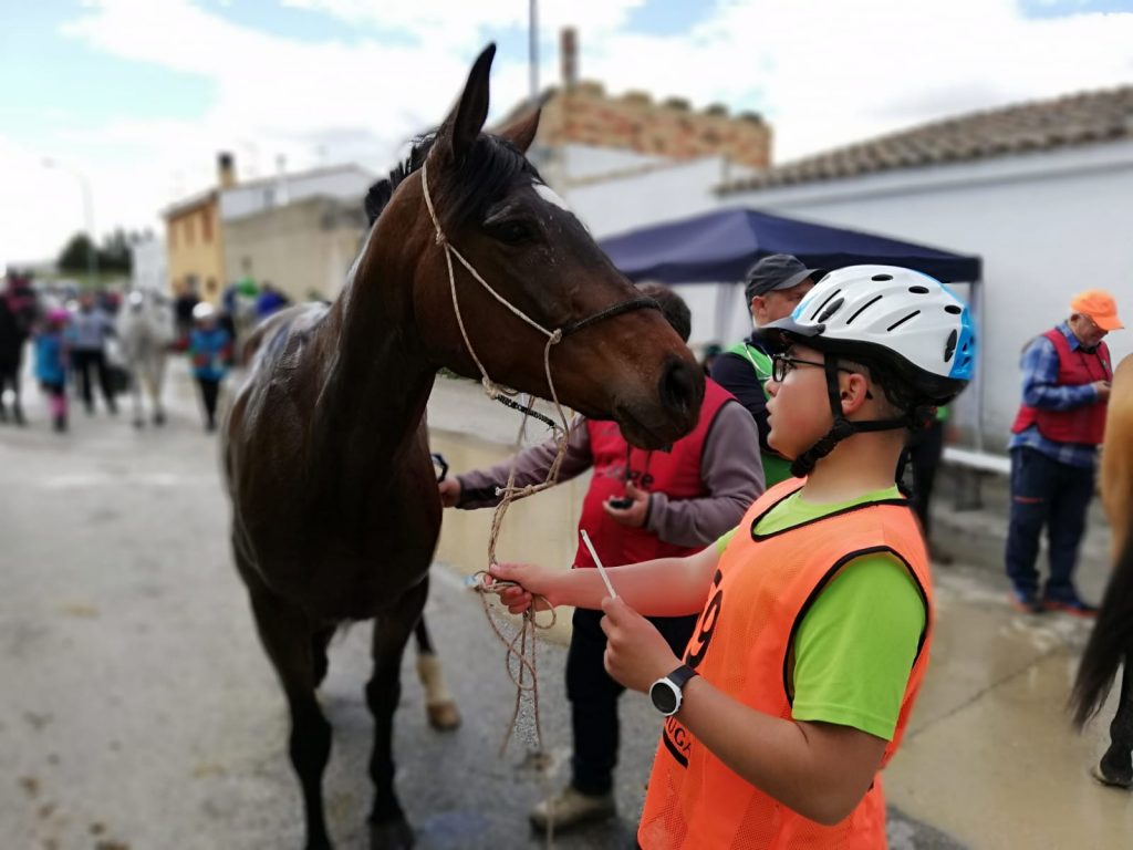 Resultados Campeonato Navarro de Raid CET0*, CEAP60 km y CEAP40 km